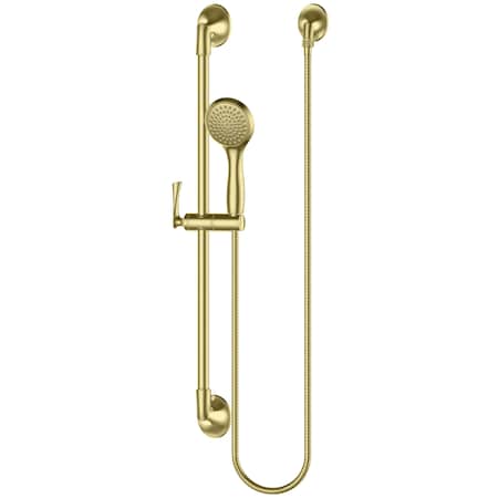 Pfister Pfister Rhen Slide Bar/Handshower Brushed Gold LG16-3RHBG